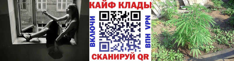 Купить Кокаин  Конопля  МЕФ  СК  Гашиш  Гагарин