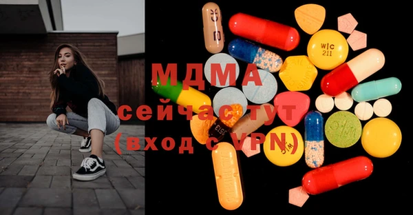 индика Инта