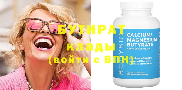 индика Инта