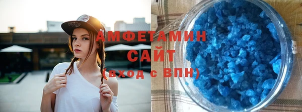 индика Инта