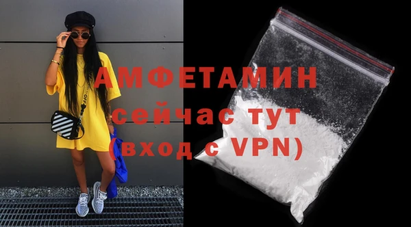 индика Инта