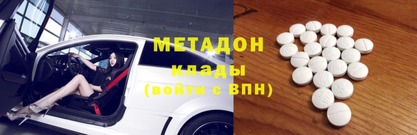 индика Инта