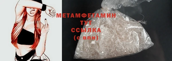 индика Инта