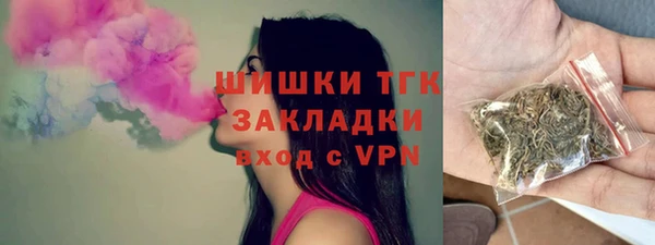 индика Инта
