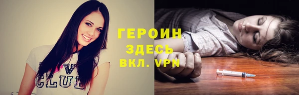 индика Инта
