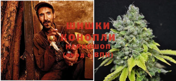 индика Инта