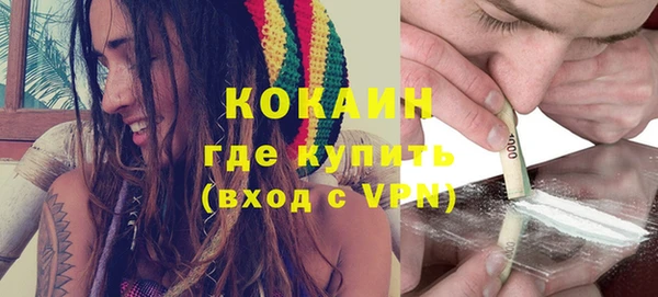 индика Инта