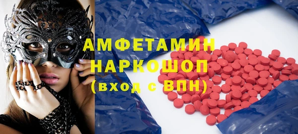 индика Инта