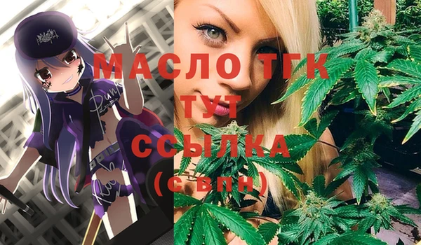 индика Инта