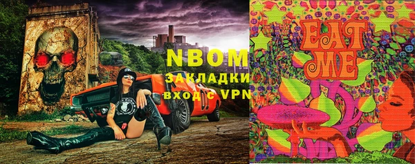 индика Инта
