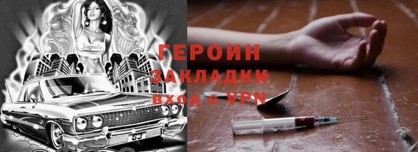 индика Инта